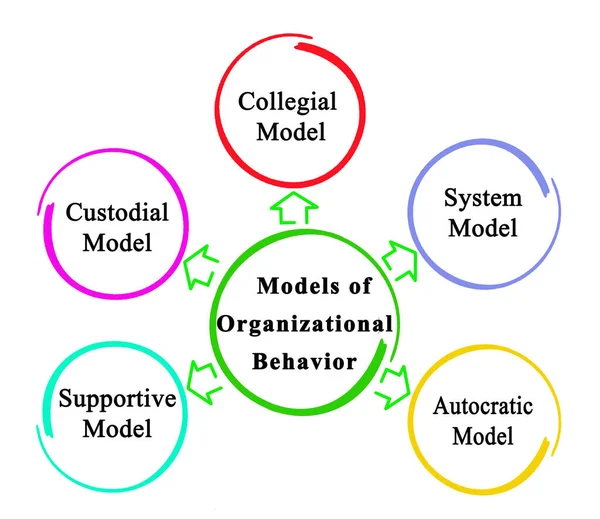 Five Models Organizational Behavior — Stock Photo, Image