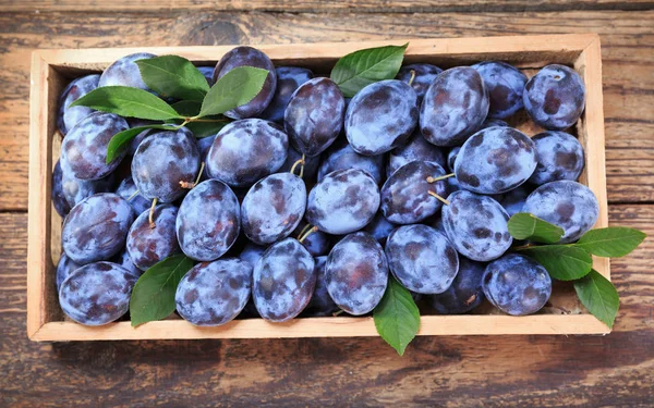 fresh blue plums with leaves in wooden box, top view