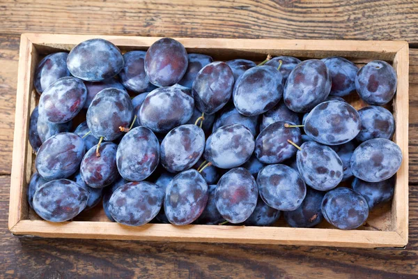 fresh blue plums in wooden box, top view