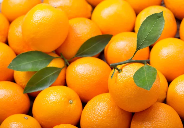 fresh orange fruits with leaves as background