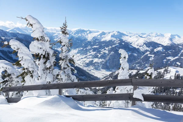 Winter landscape with snow trees and mountains, alps mountains