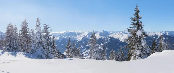 Panorama of winter landscape with snow trees and mountains, alps