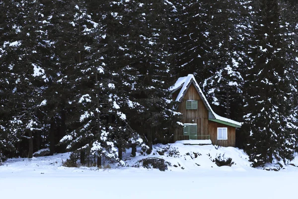 Casa Aconchegante Madeira Floresta Neve — Fotografia de Stock