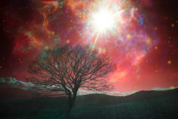 Rote Außerirdische Landschaft Mit Einsamen Bäumen Über Dem Nachthimmel Mit — Stockfoto