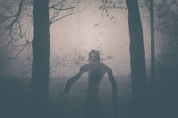 Créature effrayante regardant et se cachant dans les bois sombres, adapté au thème d'Halloween — Photo