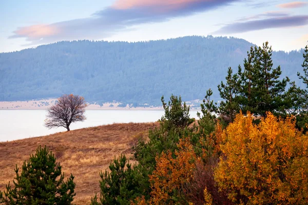 Mooi Herfst Landschap Met Meer Park — Stockfoto