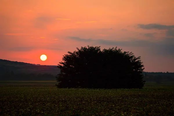 Solnedgång Genom Röda Färger Över Sommaren Fält Bulgariska Natur — Stockfoto