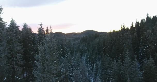 Luftaufnahmen Von Ruhiger Winterlandschaft — Stockvideo