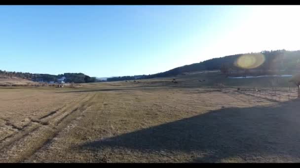 Images Aériennes Prairie Montagne Tranquille Par Une Journée Ensoleillée — Video