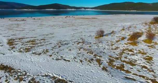 Luchtbeelden Van Rustige Winter Landschap — Stockvideo