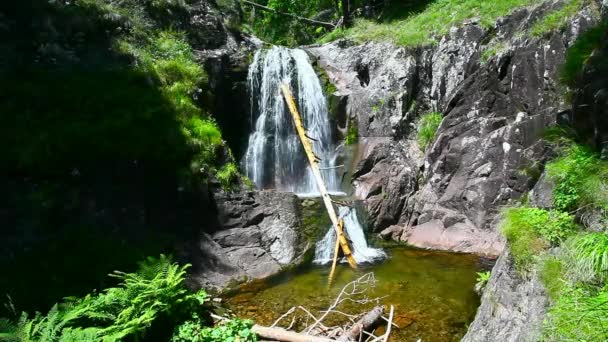 Красивые Кадры Водопада Лесу — стоковое видео