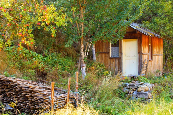 Piccolo fienile o casa in colorata foresta autunnale. Montagna Rodopi bulgara — Foto Stock