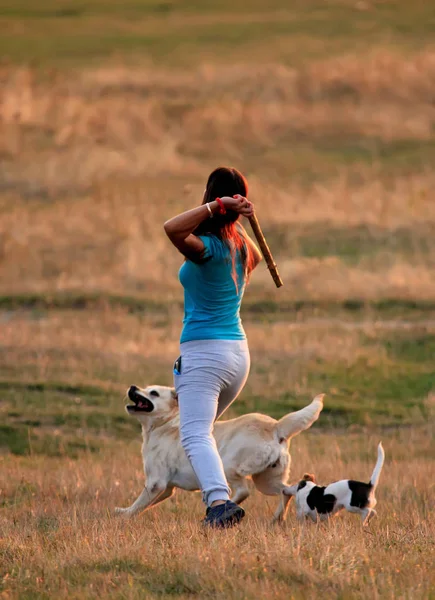 Woman plays with dog on the shore of the lake at sunrise — Stock Photo, Image