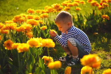 Çiçekli küçük çocuk.