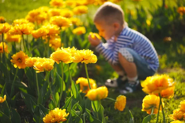 Маленький хлопчик з квітами — стокове фото