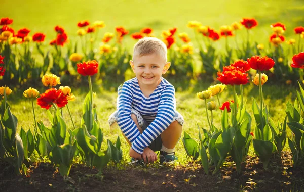 Little boy with flowers — Stock Photo, Image