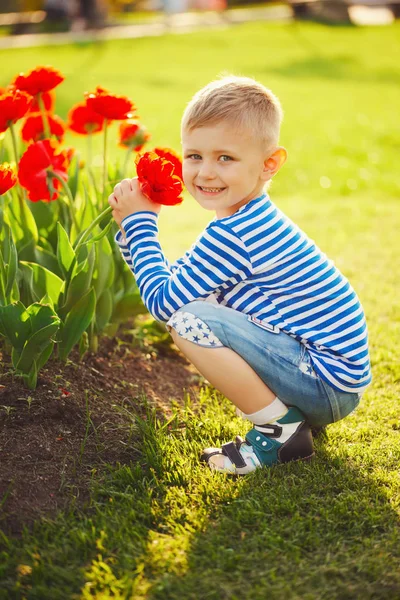 꽃을 든 어린 소년 — 스톡 사진
