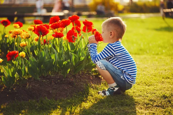 꽃을 든 어린 소년 — 스톡 사진