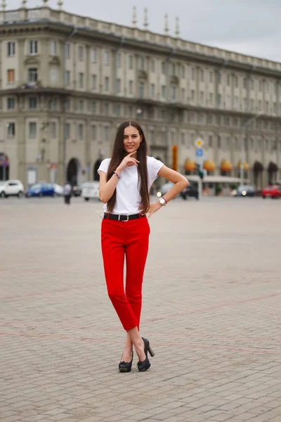 Retrato de hermosa morena con el pelo largo — Foto de Stock