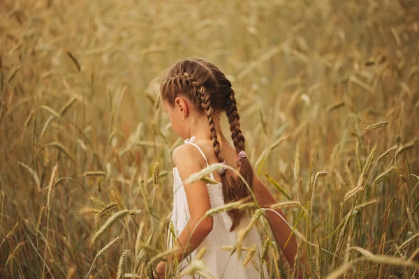 Young girl in the yellow field — Stock Photo, Image