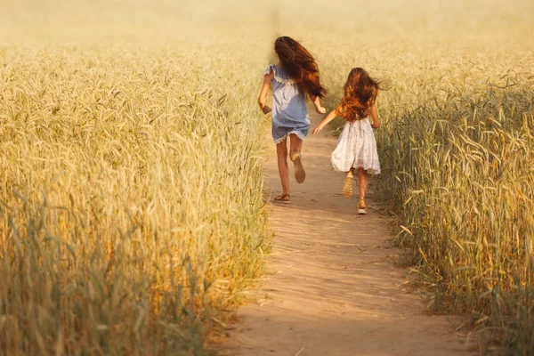 Giovane ragazza nel campo giallo — Foto Stock