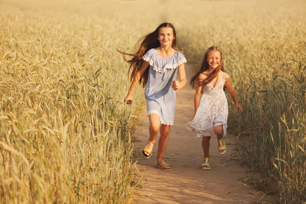 Young girl in the yellow field — Stock Photo, Image