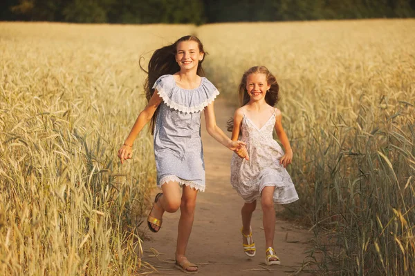 Young girl in the yellow field — Stock Photo, Image