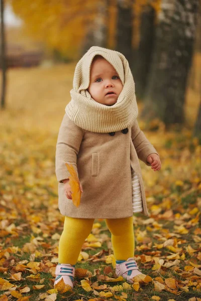 Aranyos boldog lány az őszi park — Stock Fotó