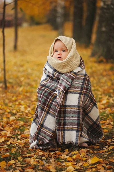 Carino ragazza felice in autunno parco — Foto Stock