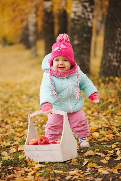 Park sonbaharda hasat ile küçük kız — Stok fotoğraf
