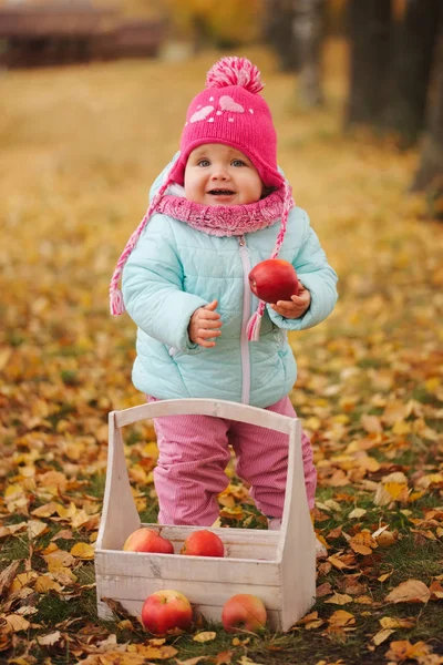 Κοριτσάκι με Φθινοπωρινή συγκομιδή στο πάρκο — Φωτογραφία Αρχείου