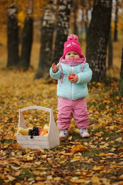 在公园秋天收获的小女孩 — 图库照片