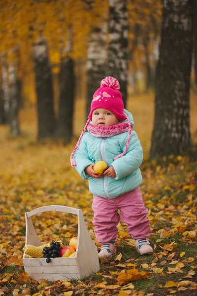Niña con cosecha de otoño en el parque —  Fotos de Stock