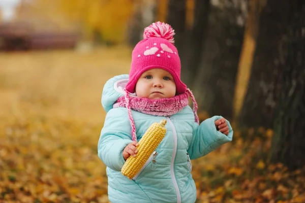 Маленькая счастливая девочка с кукурузой в осеннем парке — стоковое фото