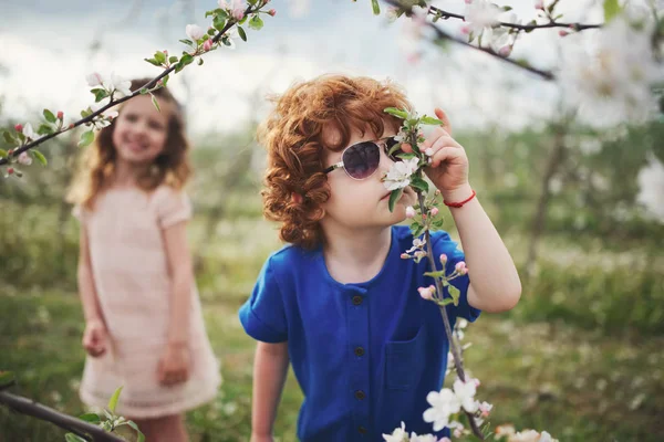 Μικρό αγόρι και κορίτσι σε ολάνθιστο κήπο — Φωτογραφία Αρχείου