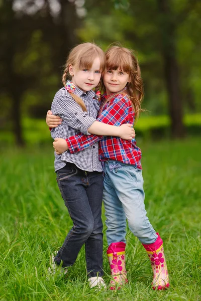 Две девушки обнимают друг друга на зеленом — стоковое фото