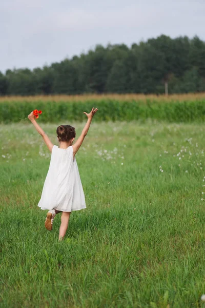 Klein meisje met papaver in de zomer veld — Stockfoto