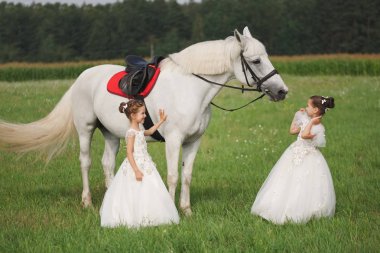 yaz alanında beyaz at ile küçük prenses