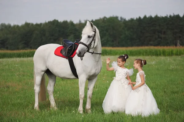 Pequena princesa com cavalo branco no campo de verão — Fotografia de Stock