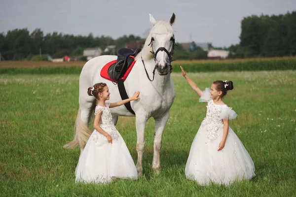 Μικρή πριγκίπισσα με λευκό άλογο στο γήπεδο του καλοκαιριού — Φωτογραφία Αρχείου