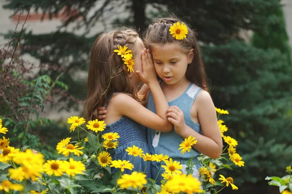 Retrato de chicas hermosas felices en macizo de flores — Foto de Stock