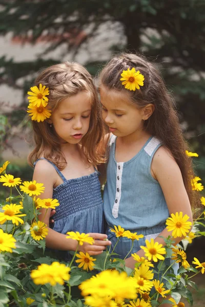 Retrato de chicas hermosas felices en macizo de flores — Foto de Stock