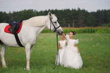 yaz alanında beyaz at ile küçük prenses