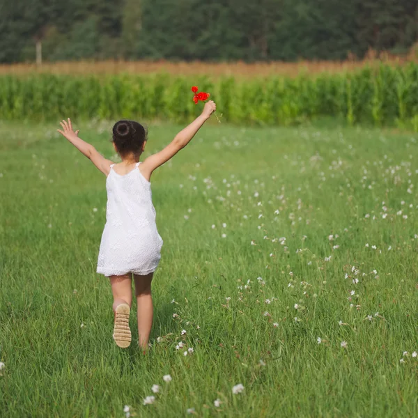 Petite fille avec coquelicot dans le champ d'été — Photo