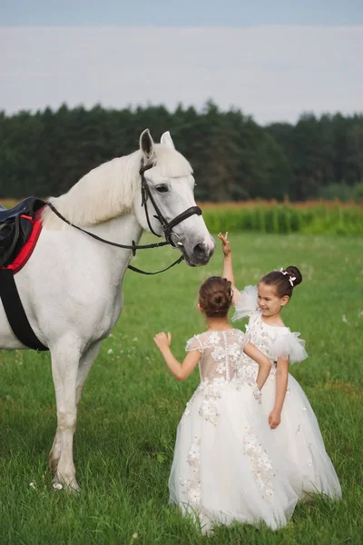 Маленькая принцесса с белой лошадью в летнем поле — стоковое фото