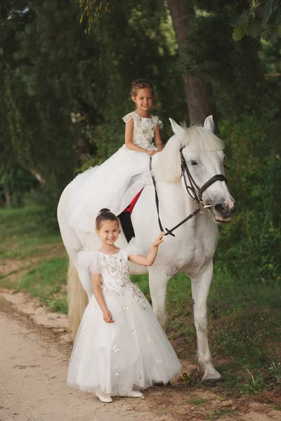 Little princess with white horse in summer field — Stock Photo, Image