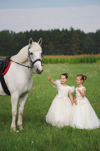 yaz alanında beyaz at ile küçük prenses