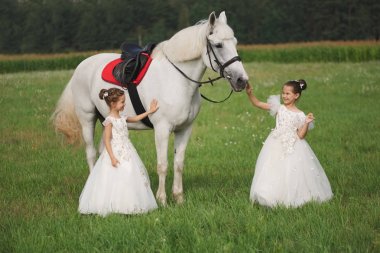 yaz alanında beyaz at ile küçük prenses