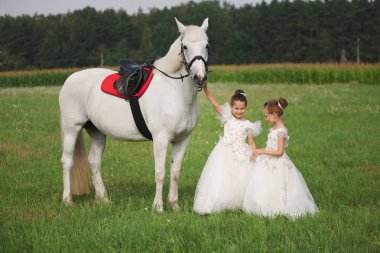 yaz alanında beyaz at ile küçük prenses