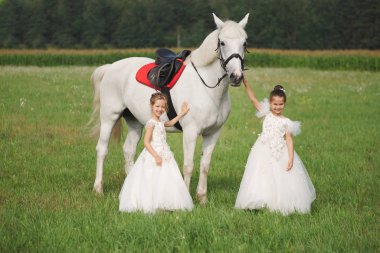 yaz alanında beyaz at ile küçük prenses